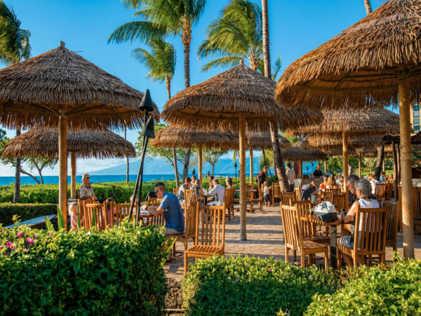 Luxurious Maui Beachfront Villas - Perfect For Families & Groups